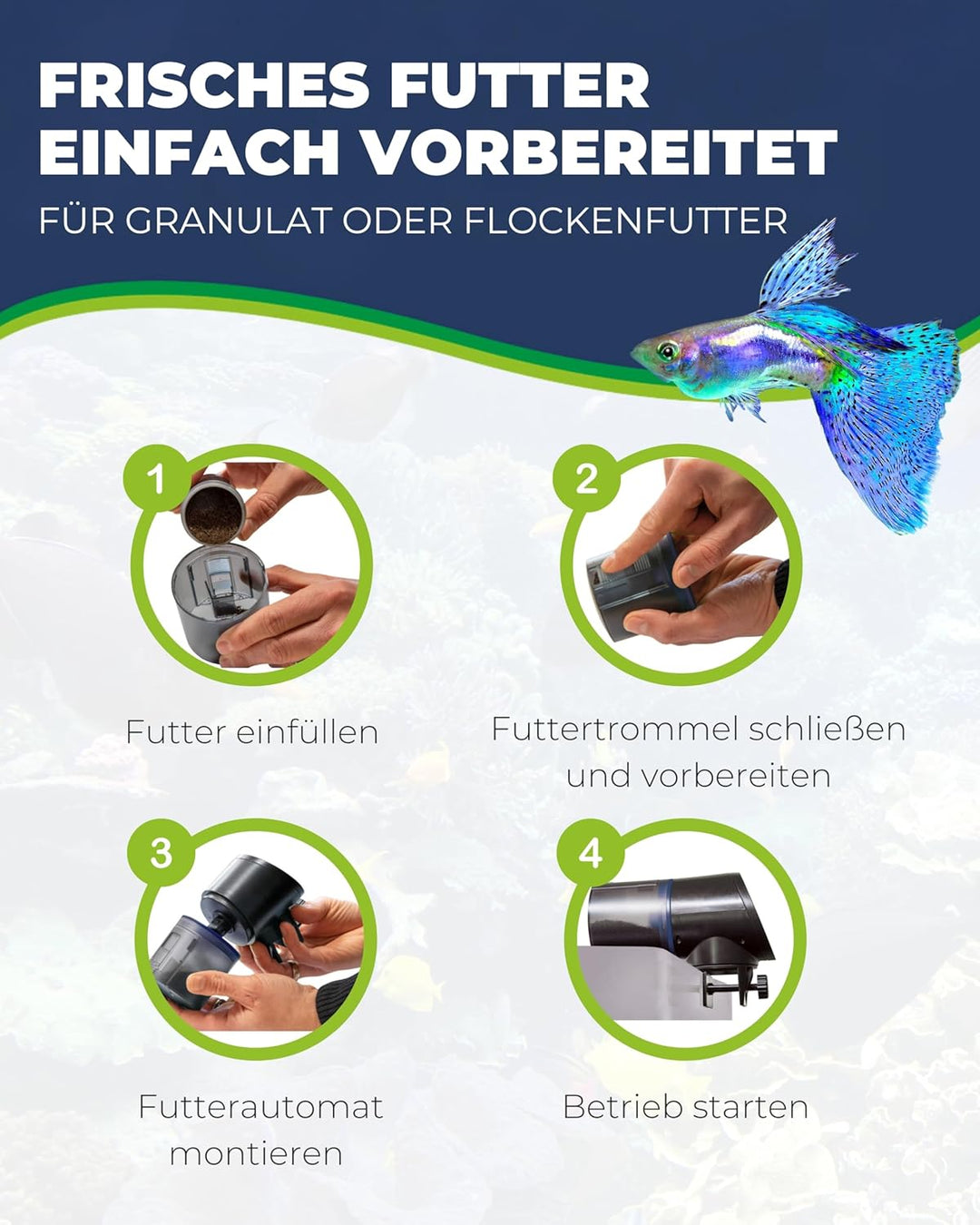 Hobby 10810 Easy Feeder, programmierbarer Futterautomat für Aquarien, blau-schwarz