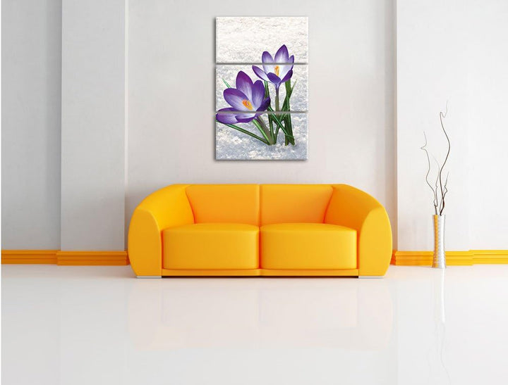 Pixxprint Lila Krokusse im Schnee als Leinwandbild/Grösse: 3 Teilig (120x80) / Wandbild/Kunstdruck/f