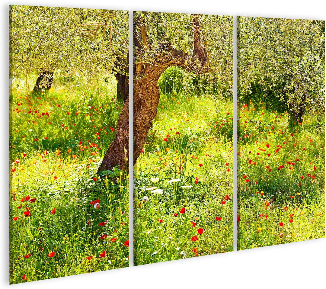 islandburner Bild auf Leinwand Mohnblumen Wiese Baum Bilder Wandbilder Poster Leinwand 130x80cm - 3