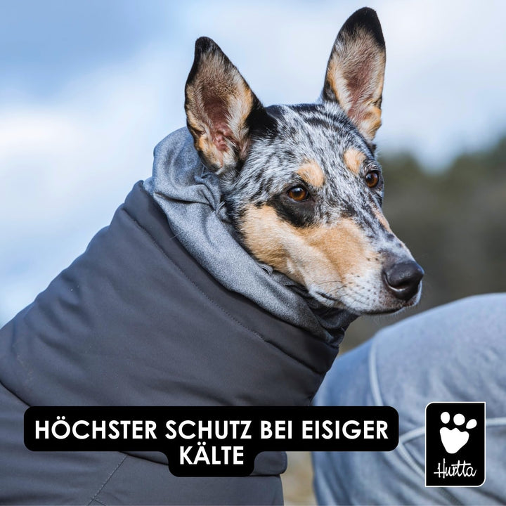 Extreme Overall Winterjacke für Hund (BlackBerry, 25S)
