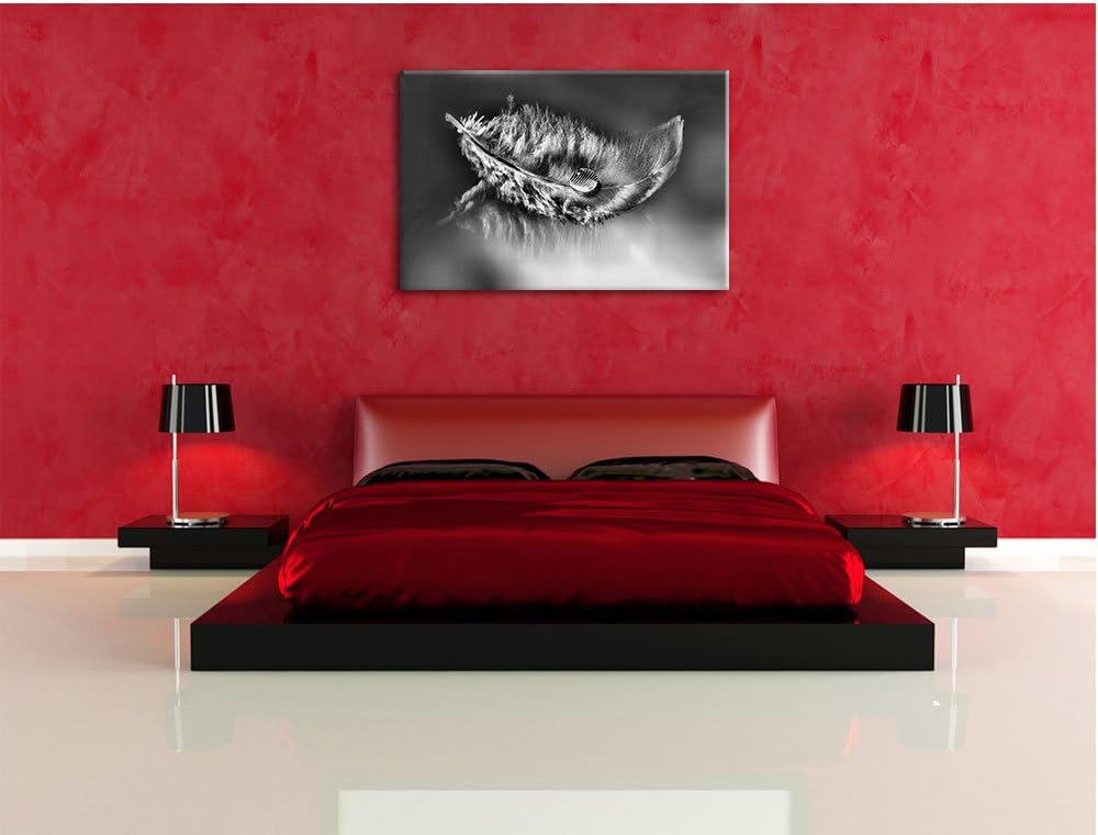 Pixxprint Wassertropfen auf Feder als Leinwandbild | Grösse: 100x70 cm | Wandbild | Kunstdruck | fer