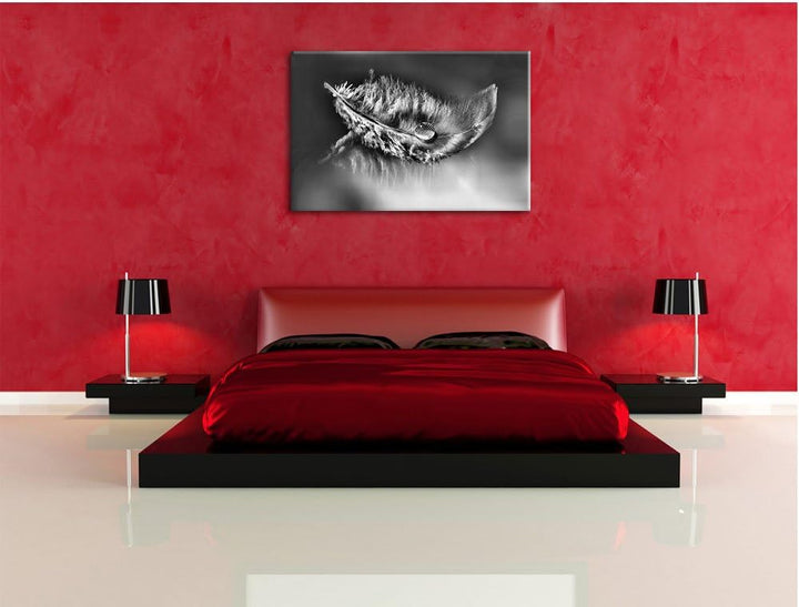 Pixxprint Wassertropfen auf Feder als Leinwandbild | Grösse: 100x70 cm | Wandbild | Kunstdruck | fer