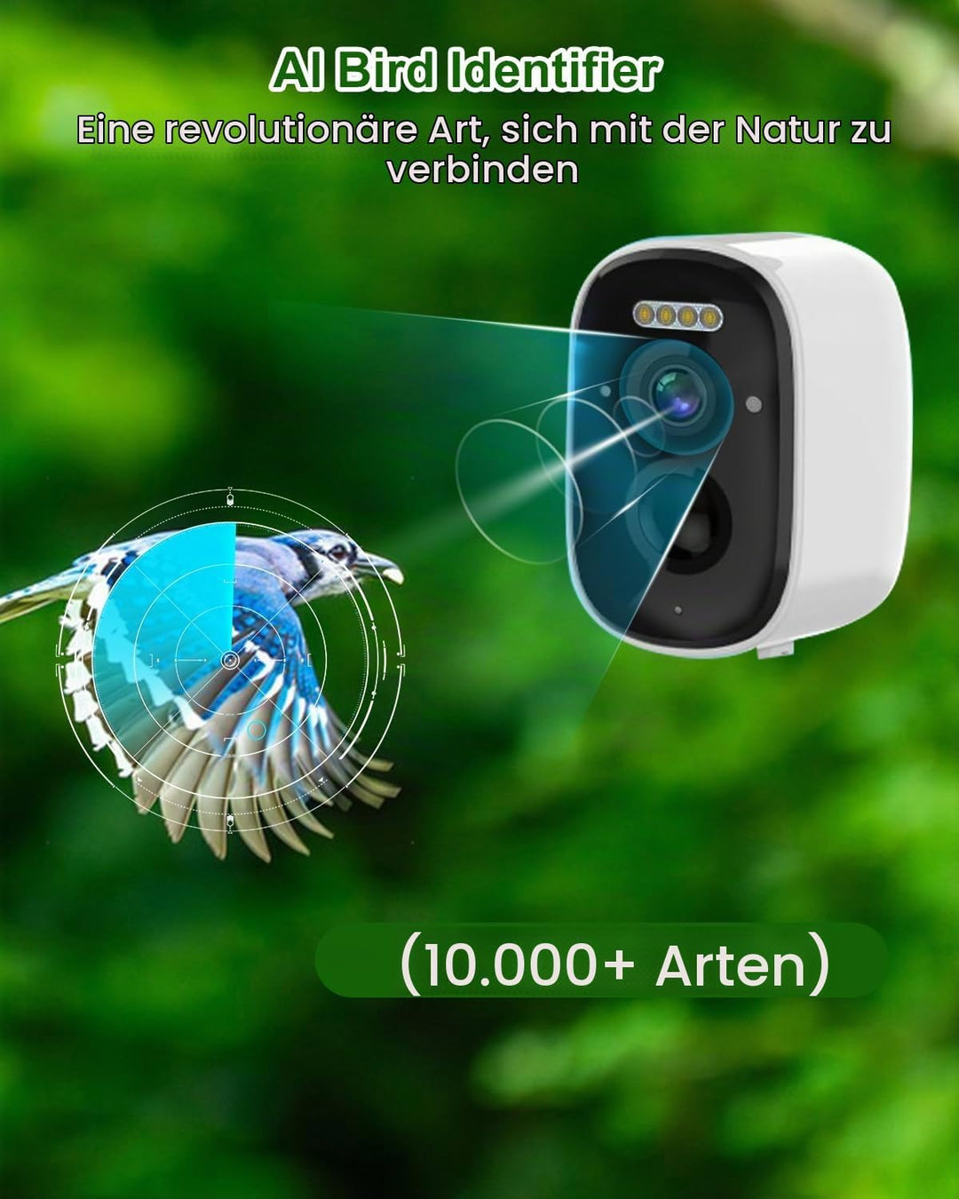 Nistkasten mit HD Kamera Solarbetriebenes, Live Stream Al Vogelbestimmer, Beobachten Sie das Nisten