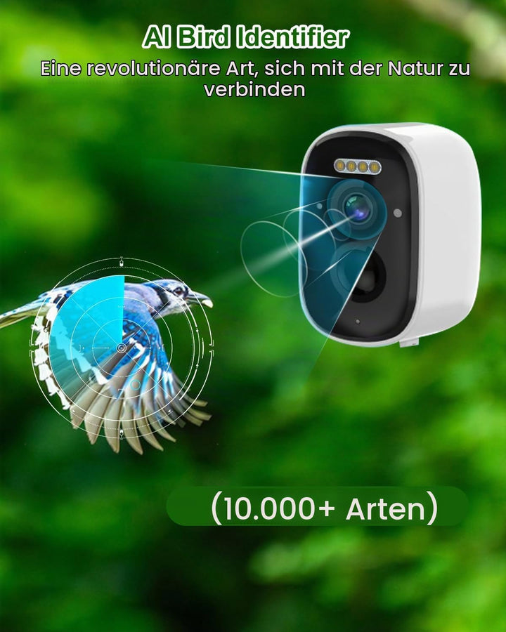 Nistkasten mit HD Kamera Solarbetriebenes, Live Stream Al Vogelbestimmer, Beobachten Sie das Nisten