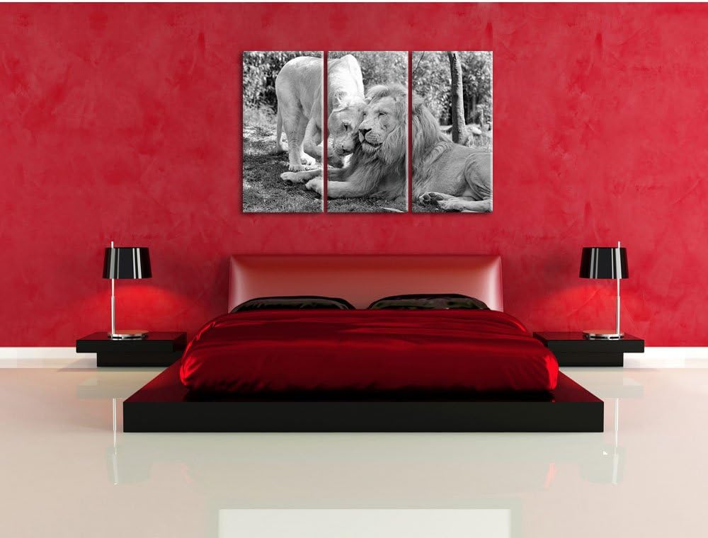 Pixxprint verliebtes Löwenpaar Kunst B&amp;W als Leinwandbild | Grösse: 3 Teilig (120x80) | Wandbild| Ku