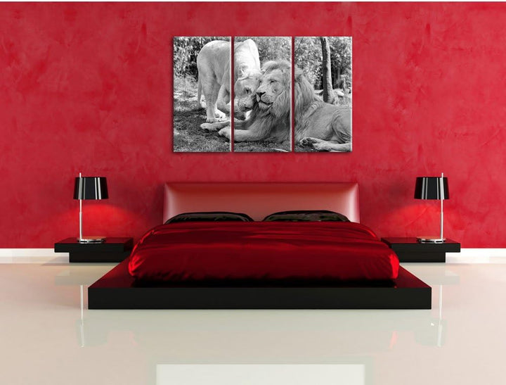 Pixxprint verliebtes Löwenpaar Kunst B&amp;W als Leinwandbild | Grösse: 3 Teilig (120x80) | Wandbild| Ku