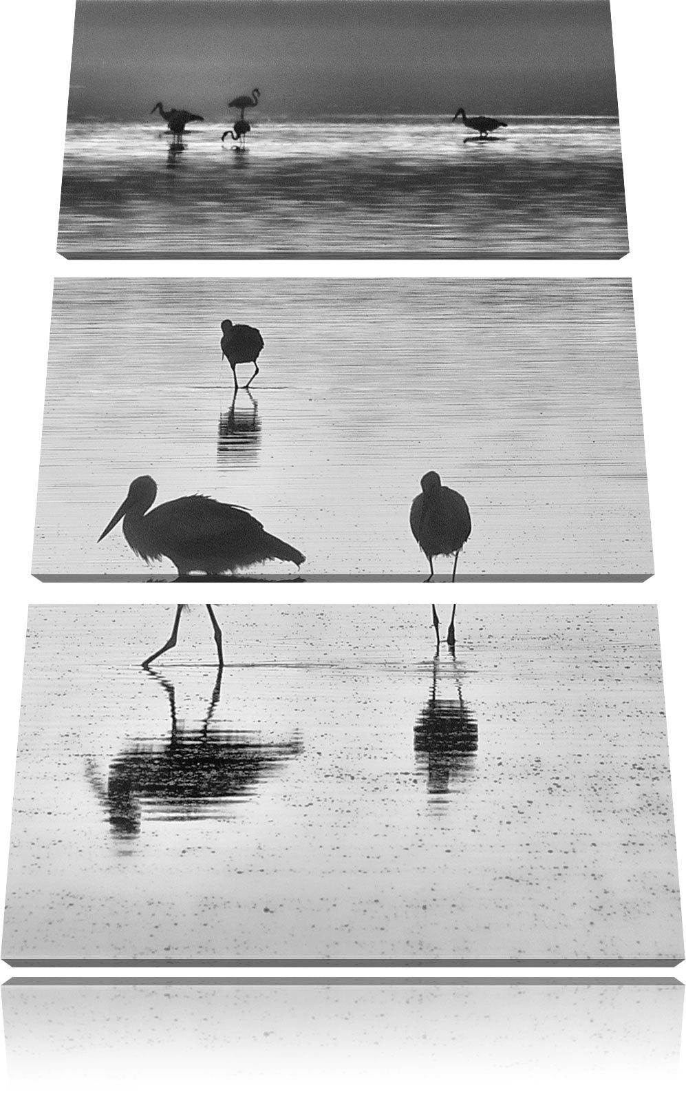 Pixxprint Störche im Wasser als Leinwandbild | Grösse: 3 Teilig (120x80) | Wandbild| Kunstdruck | fe