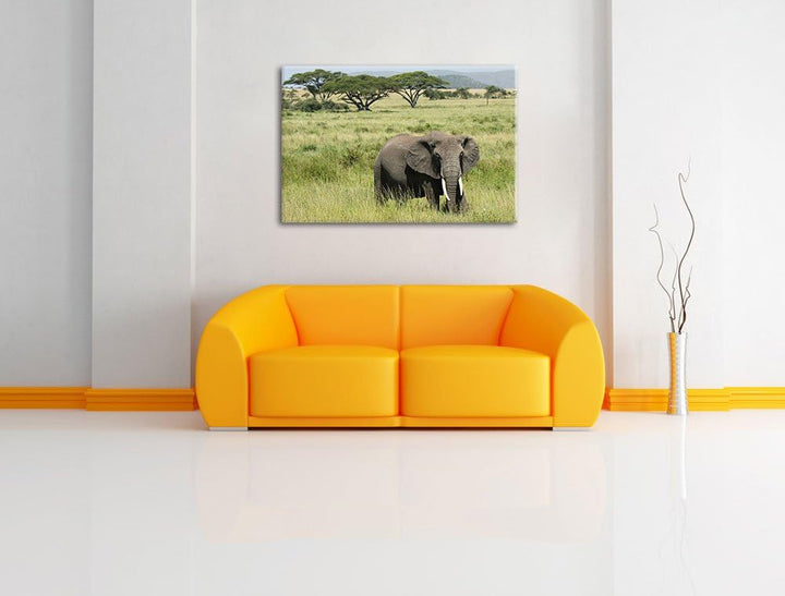 gigantischer Elefant in der Savanne Leinwand, XXL riesige Bilder fertig gerahmt mit Keilrahmen, Kuns
