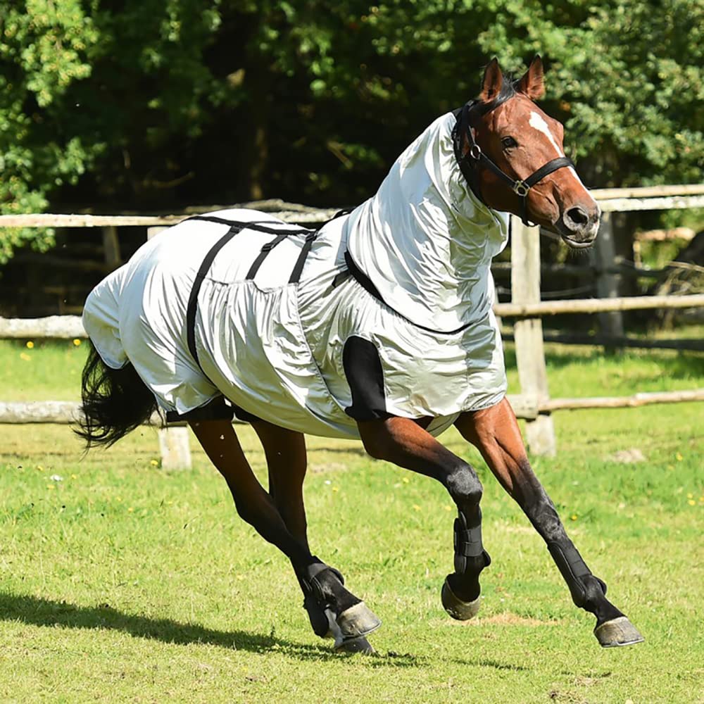 Busse Ekzemerdecke Strong anthrazit Rückenlänge 105 cm, anthrazit Rückenlänge 105 cm