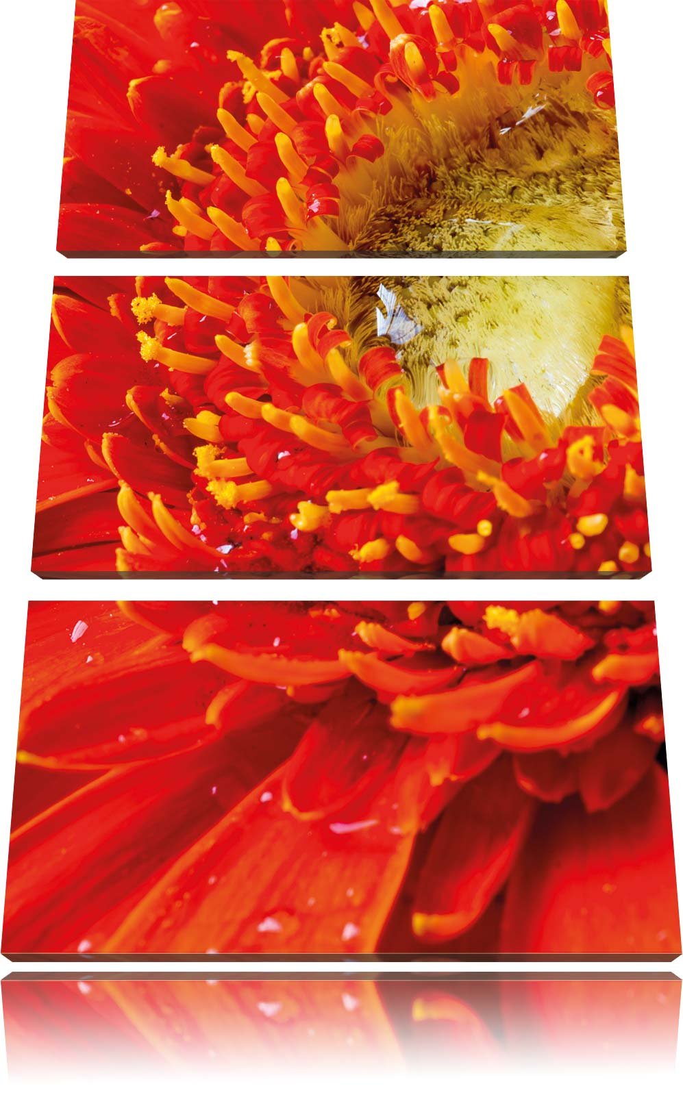 Pixxprint Gerbera Sonne Gras Blumen / 3-Teilig/Gesamtmass 120cm Leinwandbild bespannt auf Holzrahmen
