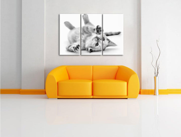 Pixxprint Kleine Katze als Leinwandbild/Grösse: 3 Teilig (120x80) cm/Wandbild/Kunstdruck/fertig besp