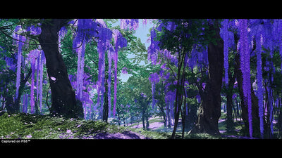 Ghost of Teshima Direcctor's Cut - PS4