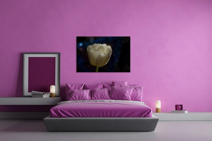 deyoli schneeweisse Tulpe Format: 80x60 als Leinwandbild, Motiv fertig gerahmt auf Echtholzrahmen, H