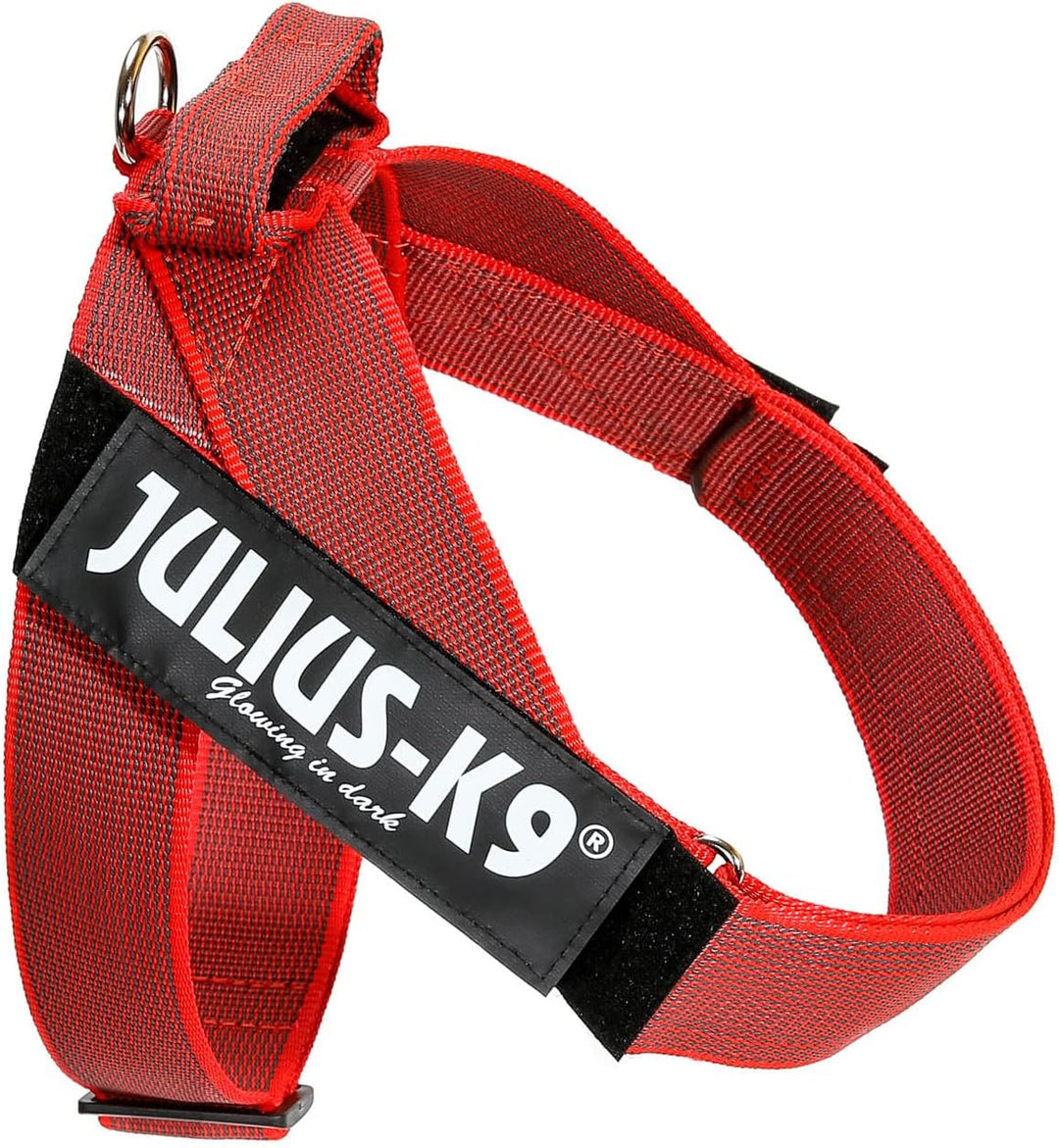 Julius-K9, Color & Gray, Beltgeschirr L / 1 rot-grau, L / 1 rot-grau