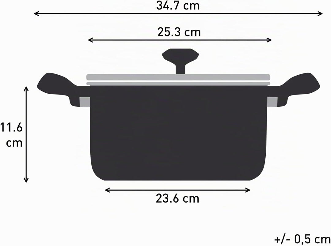 Tefal H85246 Nordica Kochtopf | 24 cm mit Glasdeckel | Doppelgriffe | Edelstahl-Topf | alle Herdarte