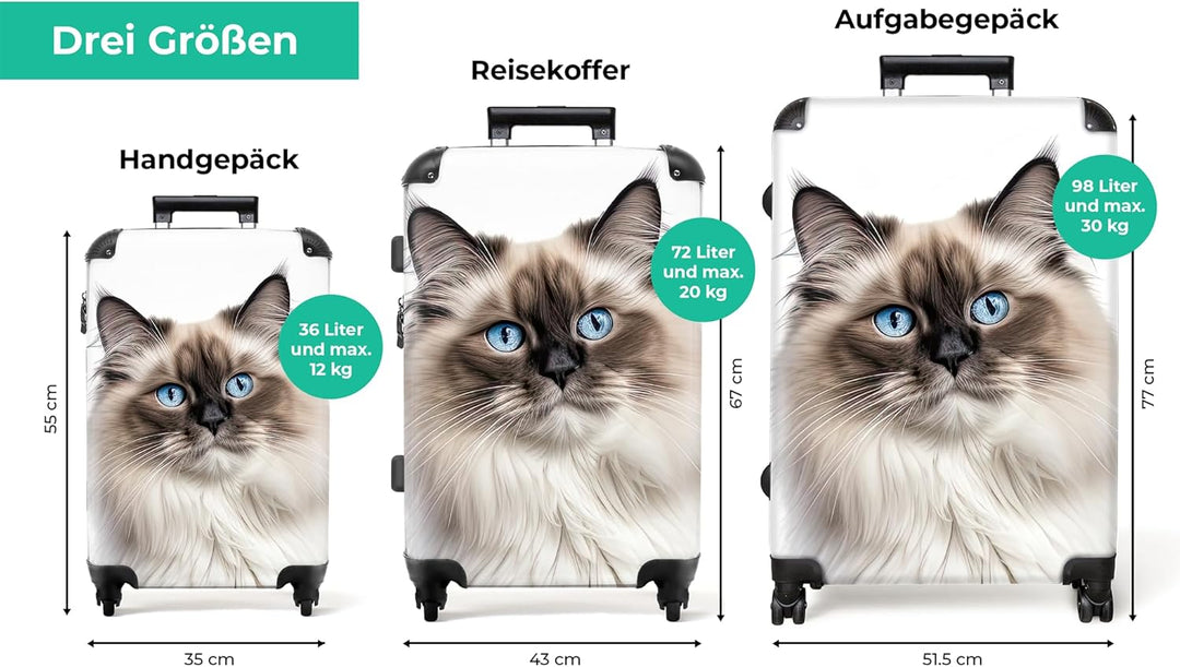 NoBoringSuitcases.com® Koffer XL Gross 77x51.5x28 cm Reisekoffer mit 4 Rollen Leicht Trolley Hartsch