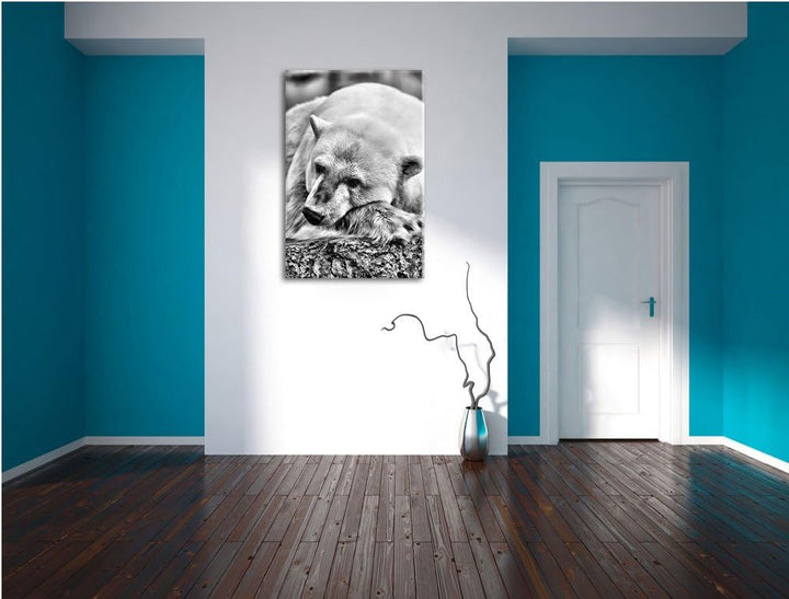 Pixxprint schlafender Eisbär / 100x70cm Leinwandbild bespannt auf Holzrahmen/Wandbild Kunstdruck Dek