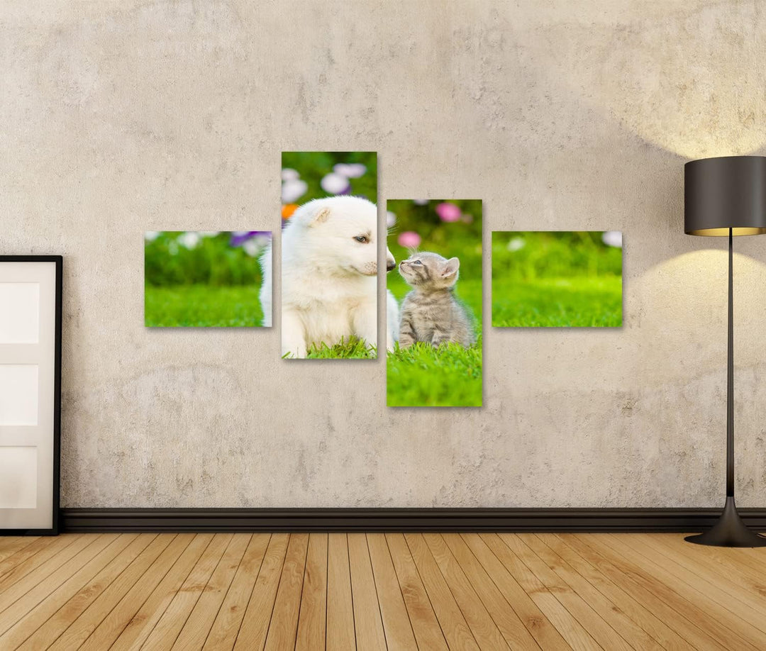islandburner Bild auf Leinwand Kätzchen Küssen Weisse Schweizer Schäfer Welpen Auf Grünem Gras Wandb