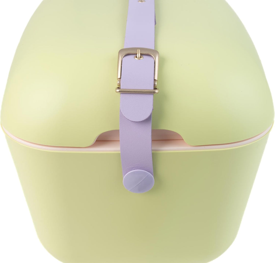 Polarbox Klassische Retro Vintage Kühlbox für Camping, Picknick, Strand, 20 l, Limette/Lila, Limette