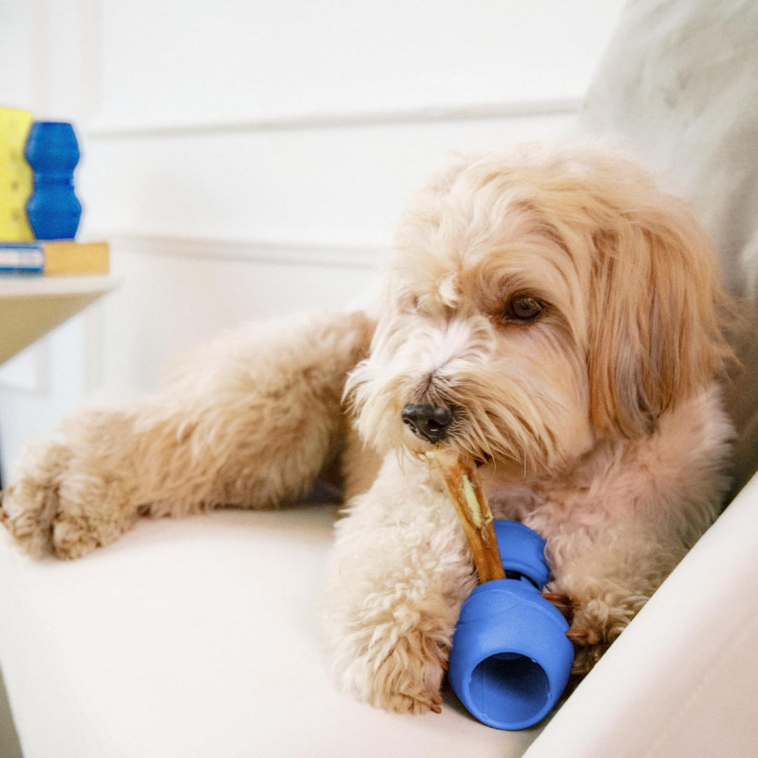 PetClan Chewise Bully Stick Halter – Ultimative Sicherheit & Robustes Design, BPA-frei, Verhindert E