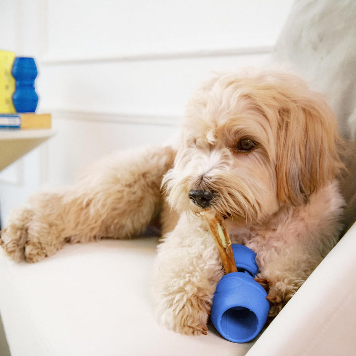 PetClan Chewise Bully Stick Halter – Ultimative Sicherheit & Robustes Design, BPA-frei, Verhindert E