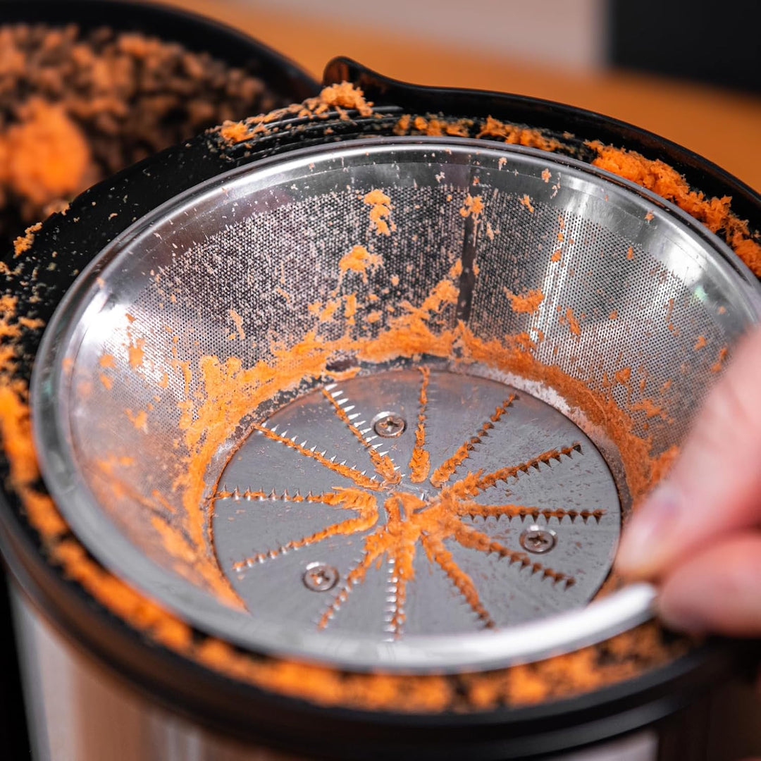 LEHMANN Entsafter, Schnelle Saftzubereitung, 2 Geschwindigkeitsstufen, elektrische Saftpresse aus Ed