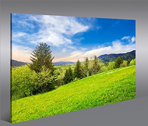 islandburner Bild Bilder auf Leinwand Wiese Bergwiese Landschaft Berge 1p XXL Poster Leinwandbild Wa