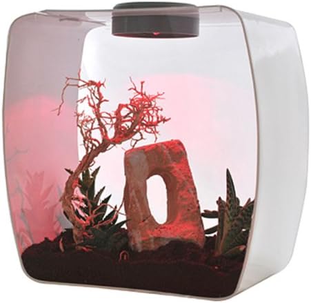 Lucky Reptile Life Box 35 beere, Nanoterrarium aus Acrylglas beere gross, beere gross