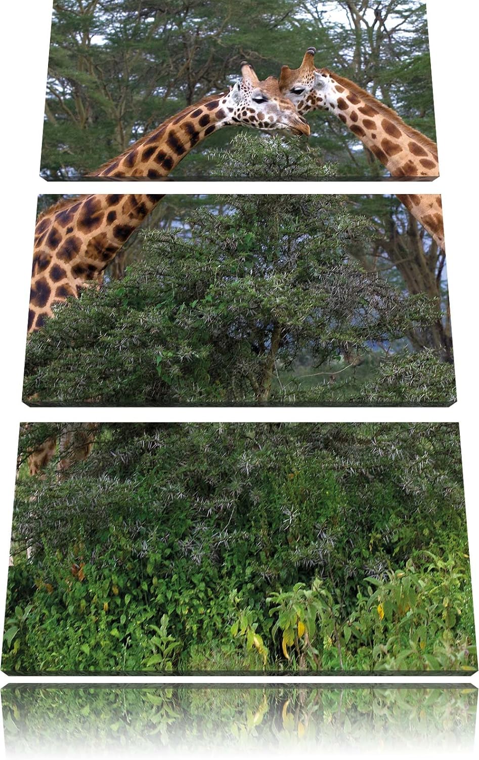 Pixxprint schönes Giraffenpaar in der Savanne 3-Teiler Leinwandbild 120x80 Bild auf Leinwand, riesig