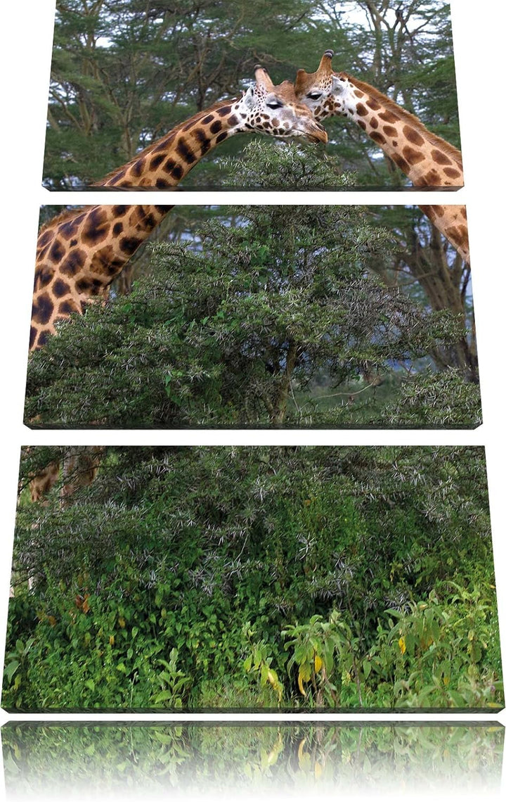 Pixxprint schönes Giraffenpaar in der Savanne 3-Teiler Leinwandbild 120x80 Bild auf Leinwand, riesig