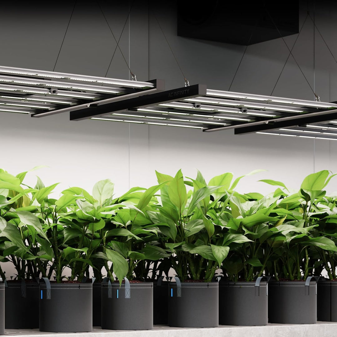 AC Infinity IONFRAME EVO6 LED Grow Light 500 W für 120 x 120 cm Grow Zelte, mit 1680 LM301H EVO LEDs