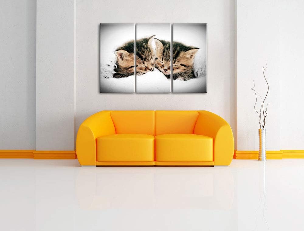 Kleine Süsse Kätzchen kuscheln schwarz/weiss 3-Teiler Leinwandbild 120x80 Bild auf Leinwand, XXL rie