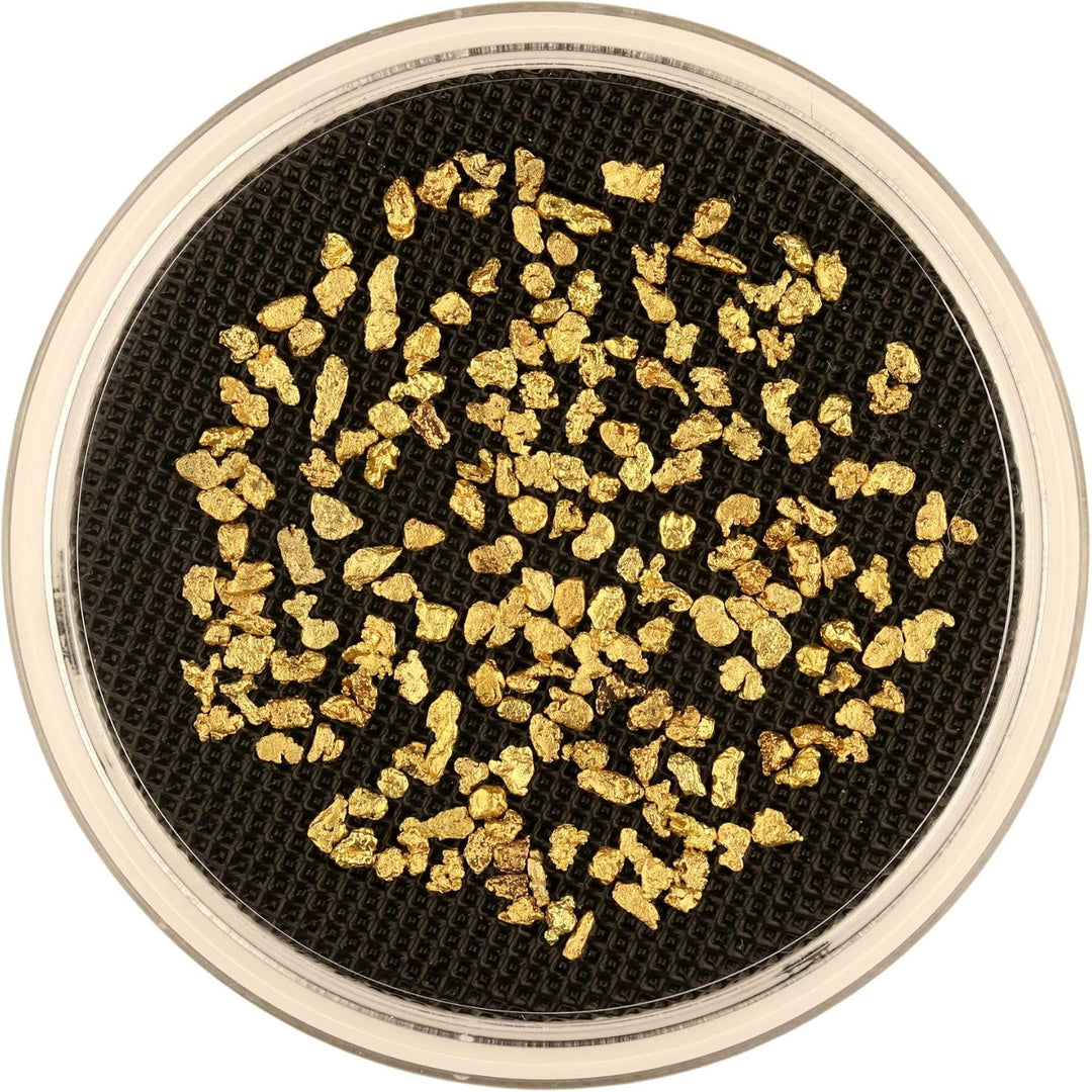 10 Gramm Goldnuggets aus Alaska mit je 2-3 mm + Echtheitszertifikat in edler Münzdose, 10 Gramm