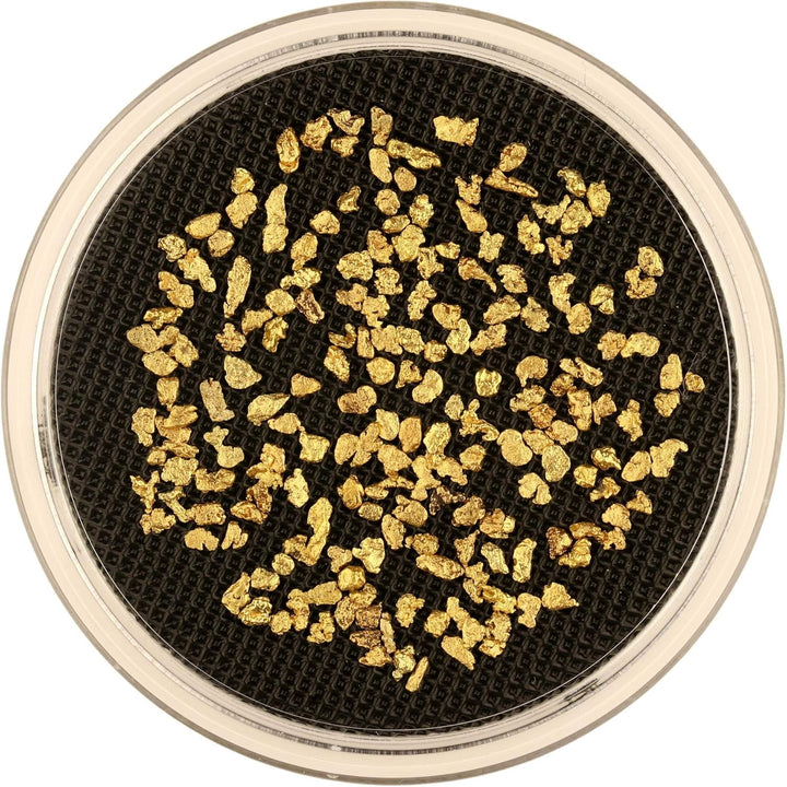 10 Gramm Goldnuggets aus Alaska mit je 2-3 mm + Echtheitszertifikat in edler Münzdose, 10 Gramm