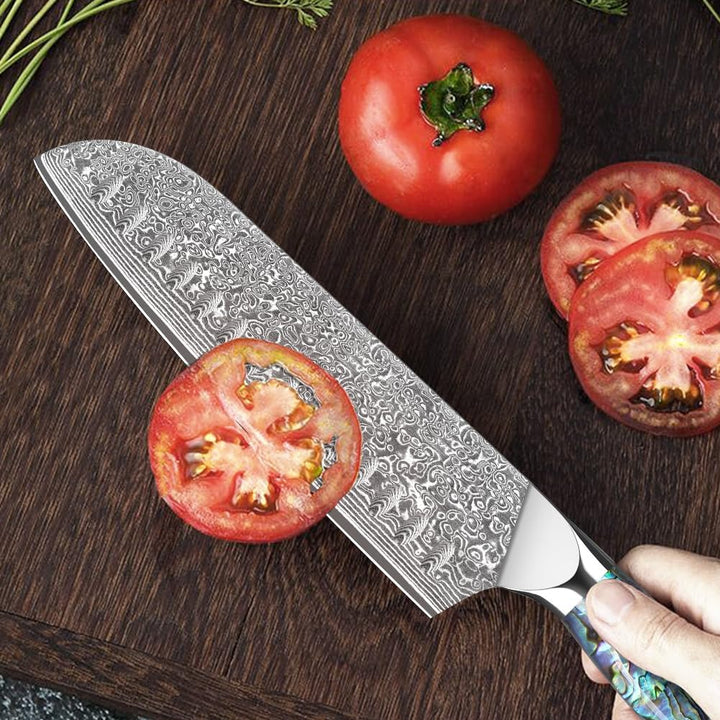 Home Safety Damastmesser Santoku Messer mit extrem Scharf 18cm Klinge aus 67 Lagen VG-10 Damaststahl