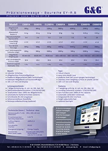 E6000Y 6000g/1g Präzisionswaage Laborwaage Feinwaage Industriewaage Tischwaage Goldwaage G&G