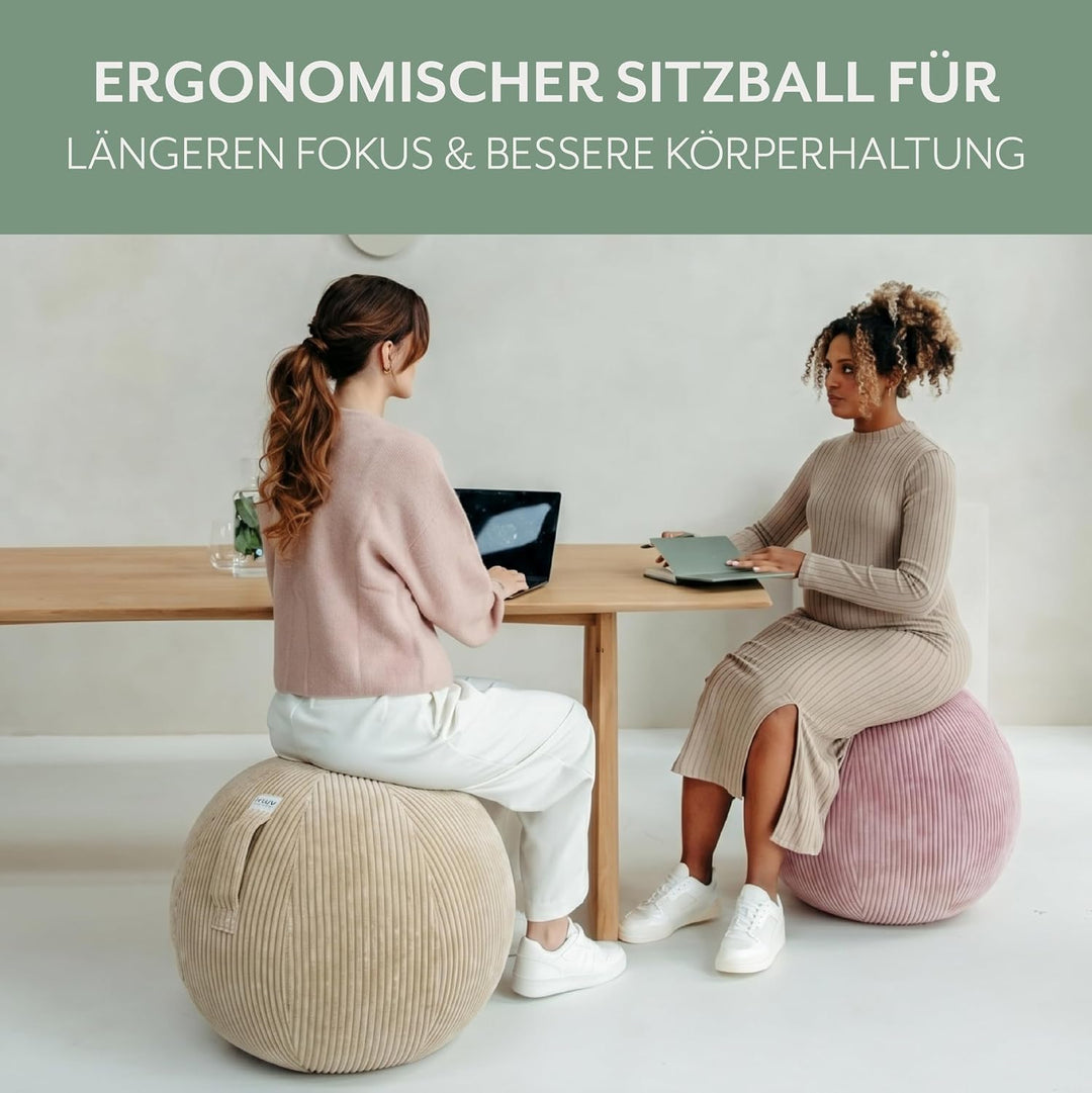 VLUV® BOL VLIP Sitzball Büro Ergonomisch [Atmungsaktiv mit Tragegriff und Wegrollschutz] Waschbarer