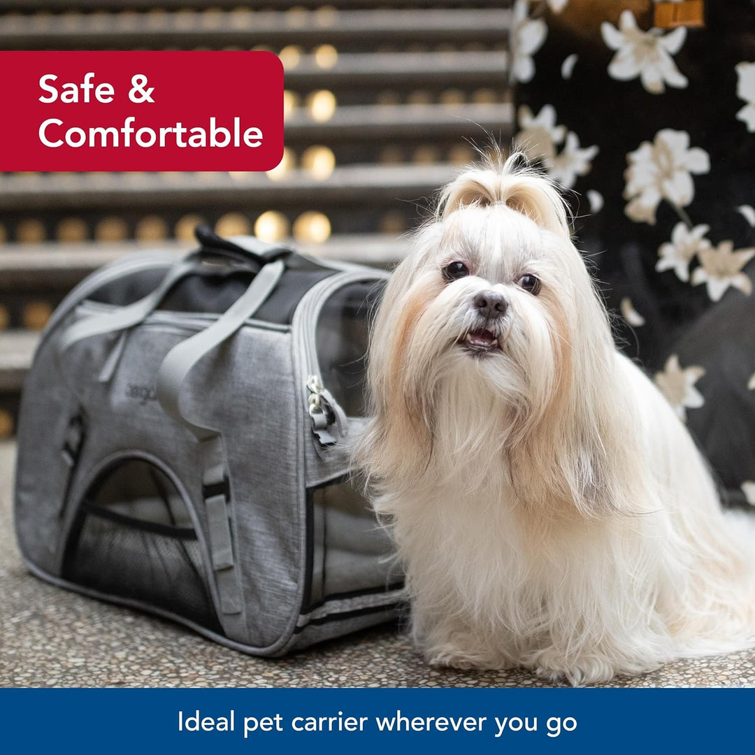 Coastal Pet Bergan Komfort-Tragetasche, sichere, Bequeme Reisetasche für Hunde und Katzen, fluggesel