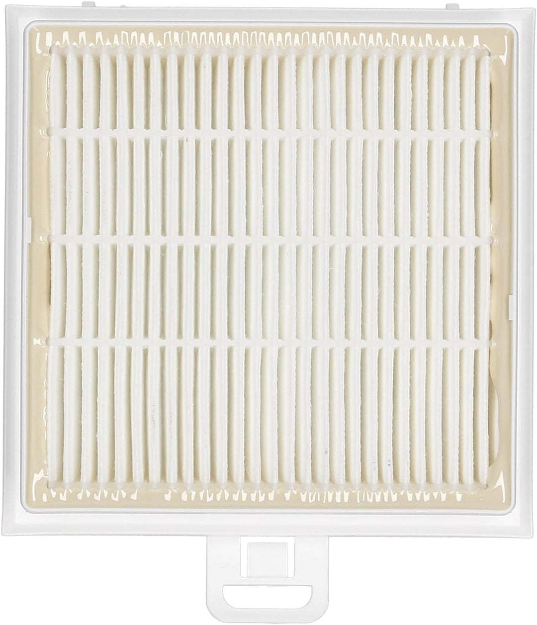 LUTH Premium Profi Parts Hochleistungs-Hygienefilter Waschbar kompatibel mit Bosch 17007970 für Stau