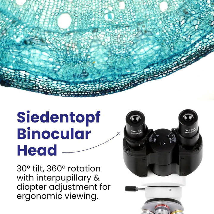 40 x 2500 x LED Digitales Fernglas Verbundmikroskop mit 3D-Stufe + Kamera