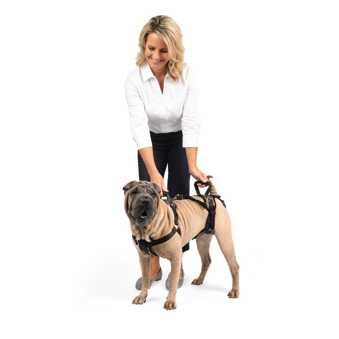 PetSafe Carelift, Unterstützungsgeschirr für Hunde, Ganzkörper-Hebehilfe mit Griff, für behinderte o