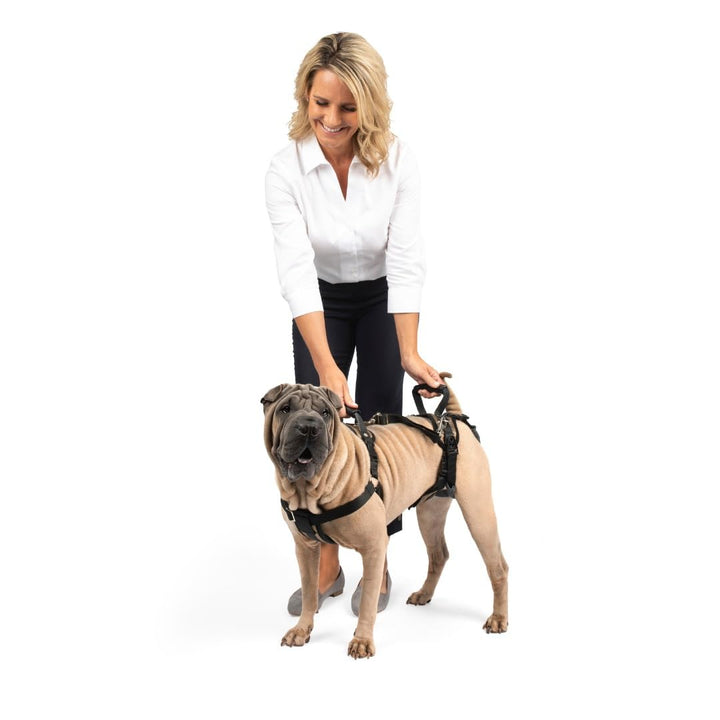 PetSafe Carelift, Unterstützungsgeschirr für Hunde, Ganzkörper-Hebehilfe mit Griff, für behinderte o