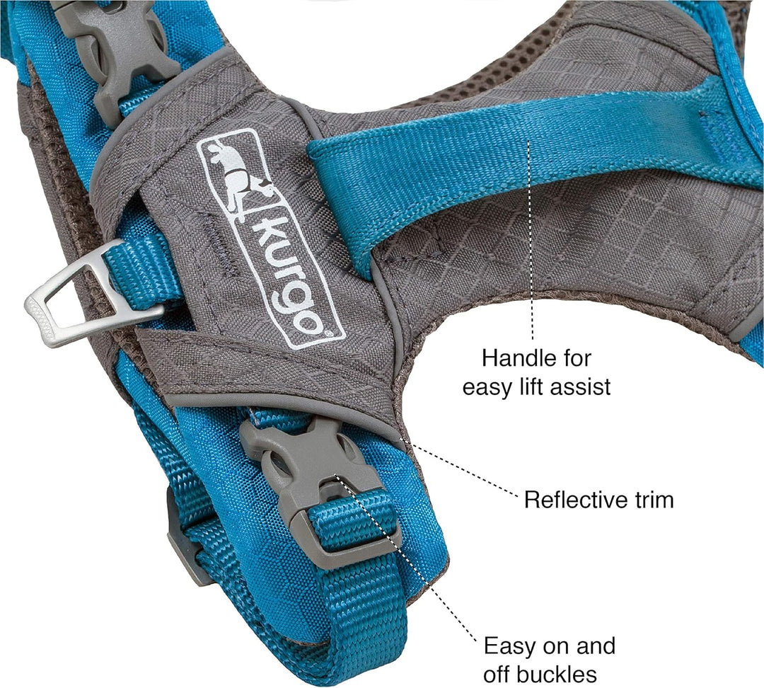 Kurgo Journey Air Geschirr, Orange, M Orange Medium, Orange Medium