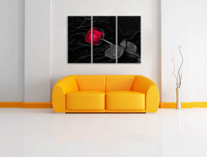 rote Rose gebettet auf schwarzem Samt schwarz/weiss 3-Teiler Leinwandbild 120x80 Bild auf Leinwand,