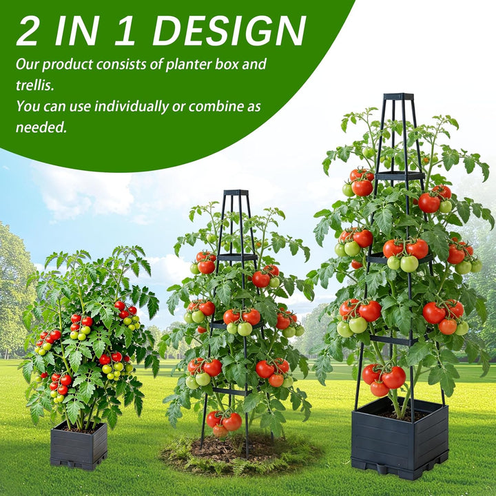 BRGD 2 Pack Selbstbewässerung Tomatentopf mit Rankhilfe, Pflanzkübel Pflanzenstütze für den Anbau vo