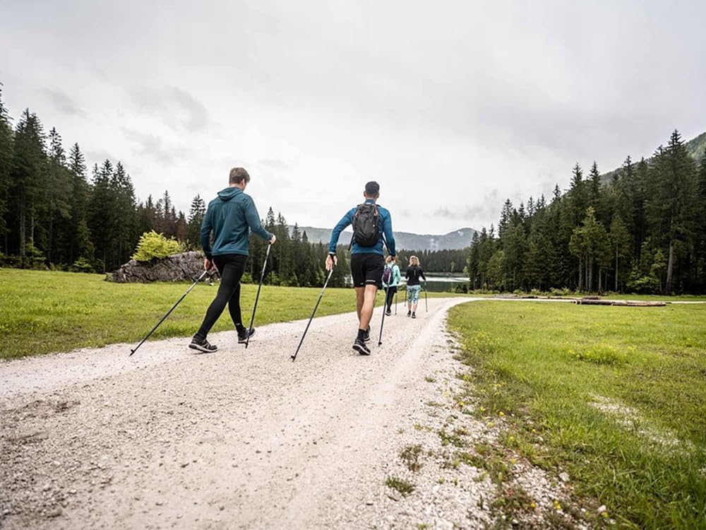 Trekkingstöcke mit Anti-Schock-System, Nordic Walking und Wandern, leichtes und robustes Aluminium,
