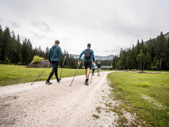 Trekkingstöcke mit Anti-Schock-System, Nordic Walking und Wandern, leichtes und robustes Aluminium,