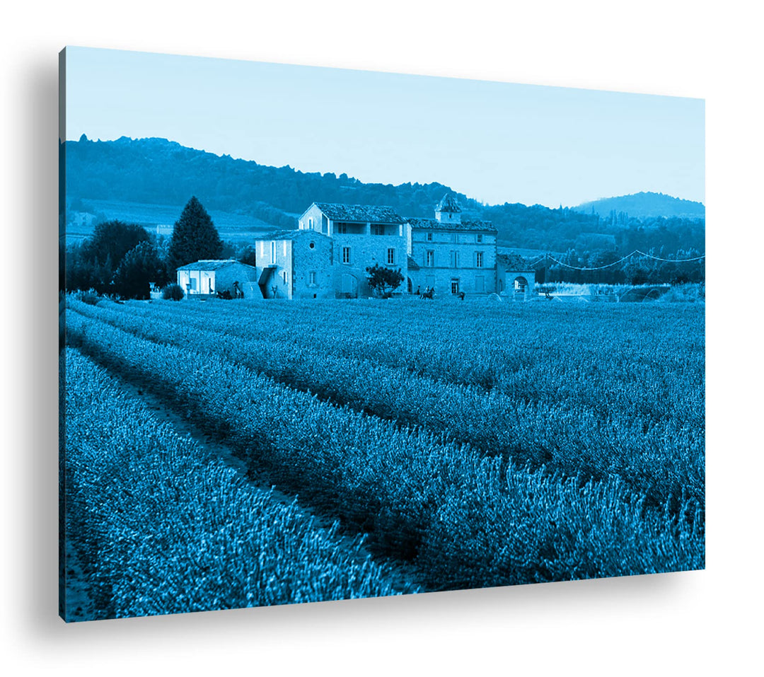 deyoli beeindruckendes Lavendelfeld in Frankreich Format 80x60 Effekt: Monocrome Blau als Leinwandbi