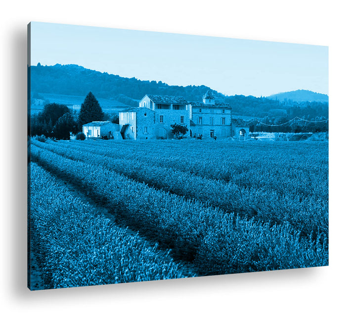 deyoli beeindruckendes Lavendelfeld in Frankreich Format 80x60 Effekt: Monocrome Blau als Leinwandbi