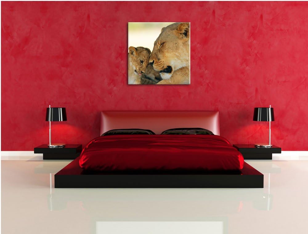 Pixxprint Löwenmutter schmusend mit Junges, Format: 70x70 auf Leinwand, 70x70